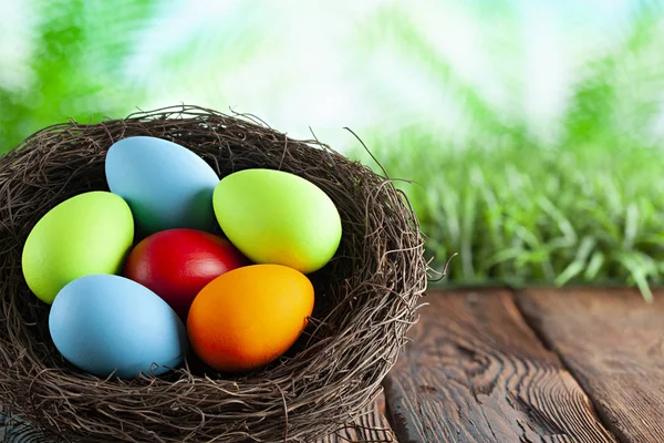 Uova di Pasqua colorate nel nido su tavola di legno e zaino natura — Foto Stock