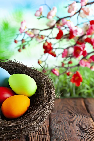 Цветные пасхальные яйца в гнезде на деревянном столе и весной — стоковое фото