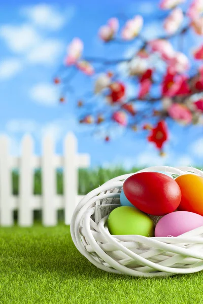 Huevos de Pascua de colores en nido blanco sobre hierba y primavera backgr — Foto de Stock