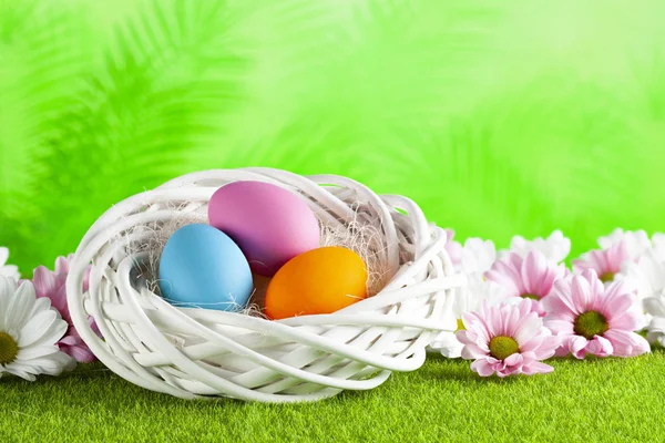 Üç renkli Paskalya yumurtaları ve yeşil doğa arka plan üzerinde çiçekler — Stok fotoğraf