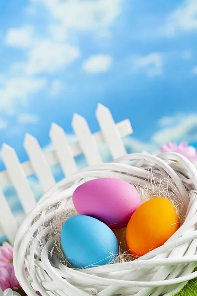 彩色复活节彩蛋在白色巢在蓝天背景 — 图库照片