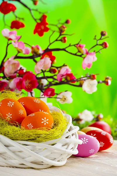 五颜六色的彩绘复活节彩蛋, 巢和木制标签上的白色围栏 — 图库照片