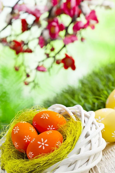 Пасхальні яйця в гнізді і дерев'яний стіл на зеленому фоні природи — стокове фото