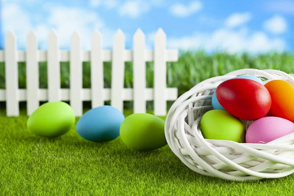 Щасливий Великдень - кольорові яйця в гнізді і на короткій розрізаній траві — стокове фото
