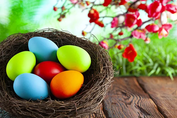 Цветные пасхальные яйца в гнезде на деревянном столе и весной — стоковое фото