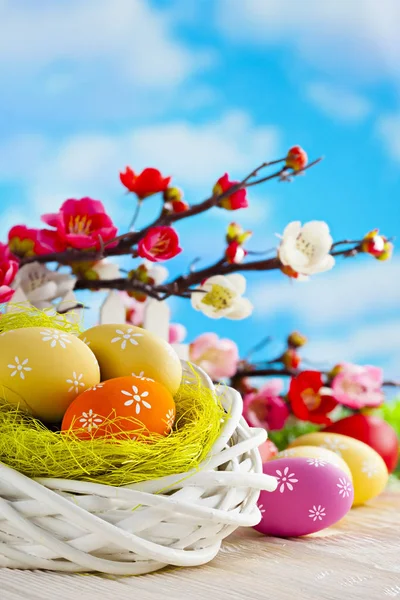 Bunte Ostereier, weißes Nest und Zweige mit Frühlingsblume — Stockfoto