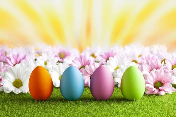 Huevos de Pascua de colores y flores rosadas y blancas en la hierba —  Fotos de Stock