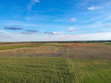 Kırsal kesimdeki farklı tarım alanlarının havadan görünüşü