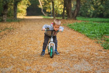 3 yıllık mutlu çocuk güz parkında bisikletle eğleniyor.