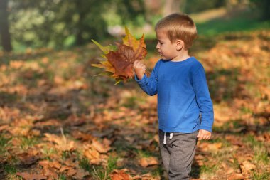 Oğlan parkta düşen sonbahar yapraklarıyla oynuyor