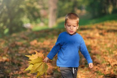 Tatlı çocuk parkta düşen sonbahar yapraklarıyla oynuyor.