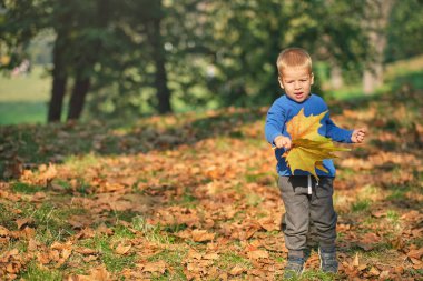 Sevimli küçük çocuk parkta düşen sonbahar yapraklarıyla oynuyor.