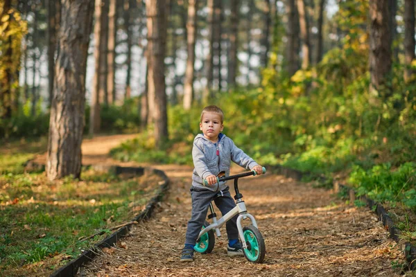 Little boy riding his dynamic bycicle at the park in autumn