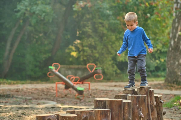 Mignon garçon de 3 ans s'amuser sur une aire de jeux en plein air à l'autum — Photo