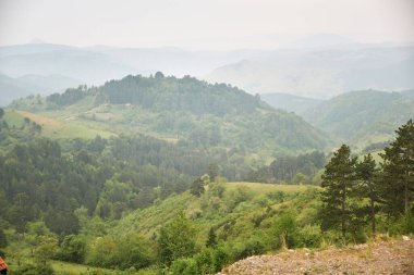 Ormanda bir patika manzarası