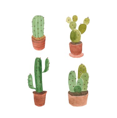 Suluboya kaktüs set, elle çizilmiş tasarımı.