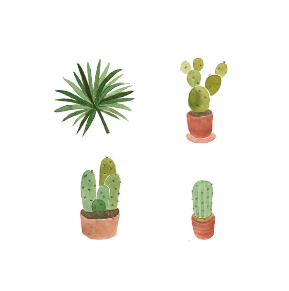 Akvarell Kaktusz Pálmafák Kézzel Rajzolt Díszlet — Stock Fotó
