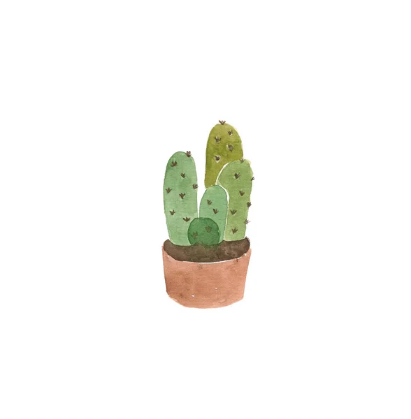 Akvarell Cactus Logotype Handritad Design Vit Bakgrund — Stockfoto