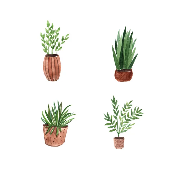 Watercolor Set Green Pot Plants Hand Drawn Design Poster Textile — Stock Photo, Image
