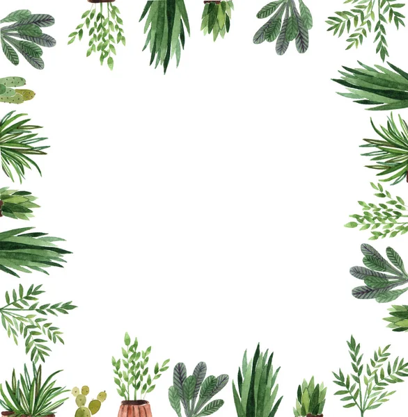 Sulu Boya Yeşil Saksı Bitkiler Çizilen Çerçeve Kümesi — Stok fotoğraf