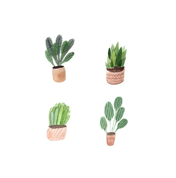 Watercolor Set Green Pot Plants Hand Drawn Illustration — Stock Photo, Image