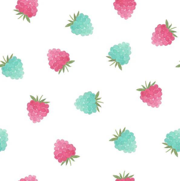Aquarel Kleurrijke Raspberry Design Hand Getrokken Illustratie — Stockfoto