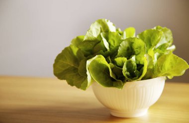 gri bir arka plan üzerinde beyaz kupa yeşil salata