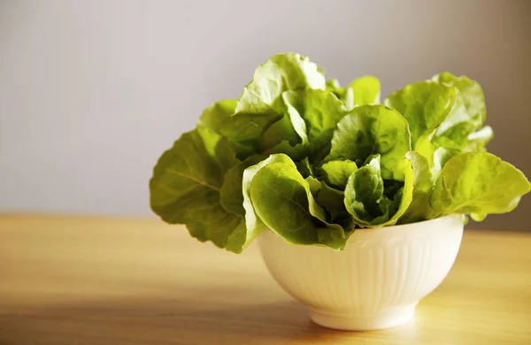 Salada Verde Tigela Branca Fundo Cinza Imagens De Bancos De Imagens