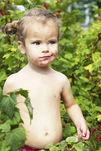 Портрет Маленької Дівчинки Заплямованої Ягодами Червоної Смородини — стокове фото