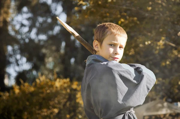 Platon with a wooden stake — Stock Photo, Image