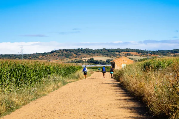 Camino de Santiago (İspanya), İspanyol meseta Aziz, şekilde boyunca yürüyüş bazı hacılar