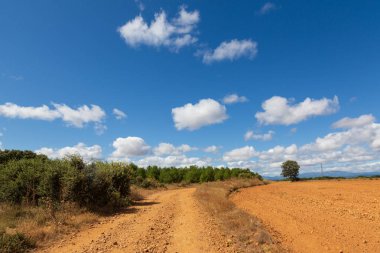 Camino de Santiago (İspanya), İspanyol meseta Aziz, şekilde boyunca yürüyüş