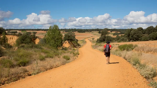 Camino de Santiago (İspanya), İspanyol meseta Aziz, şekilde boyunca yürüyüş hacı
