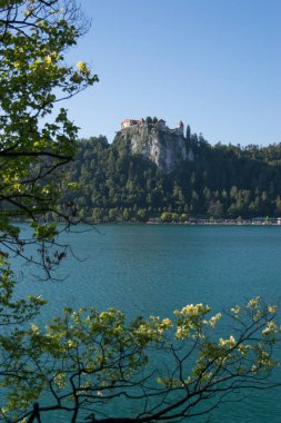Gölle, Slovenya 'yla, Avrupa' yla kanadı