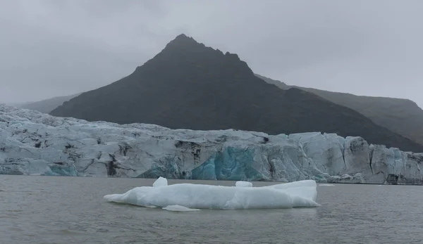 Παγετώνας Λιμνοθάλασσα Στην Ισλανδία Κολυμπώντας Παγόβουνο — Φωτογραφία Αρχείου