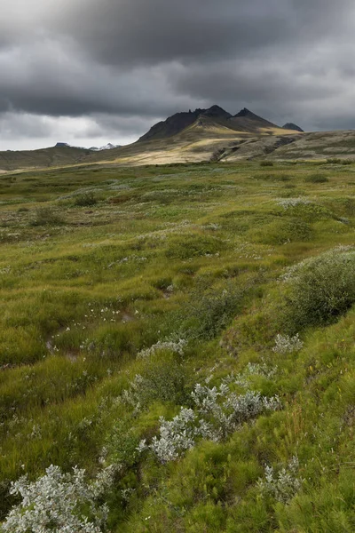 Isländische Landschaft Sommer — Stockfoto