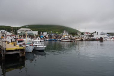 Husavik tarihi kasaba geleneksel renkli evleri ve geleneksel balıkçı tekneleri limanda İzlanda Kuzey Sahil yalan ile güzel görünümü