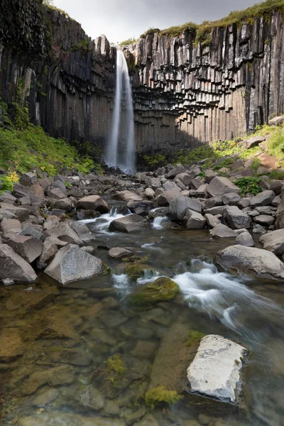 Вид Знаменитий Svartifoss Чорний Падіння Національному Парку Скафтафетль Південно Східної — стокове фото