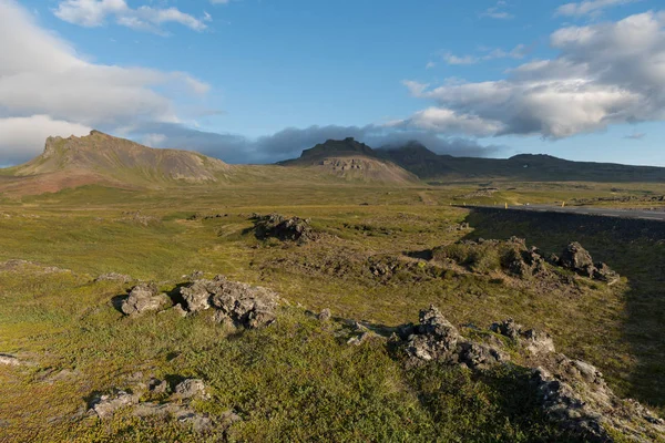 Τοπίο Wooly Βρύα Ισλανδίας Βρύα Είναι Ένα Κυρίαρχο Μέρος Από — Φωτογραφία Αρχείου