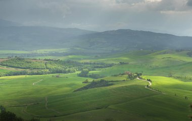 Tuscany - manzara panorama, tepeler ve çayır, Toscana - İtalya