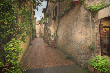 Küçük bir köyde büyülü Pienza, Toskana bir yağmurlu bahar gününde çiçekli sokak.