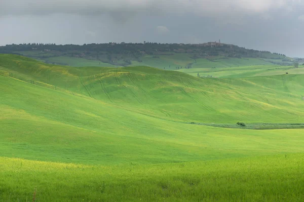 Весенний Пейзаж Тоскане Италия — стоковое фото