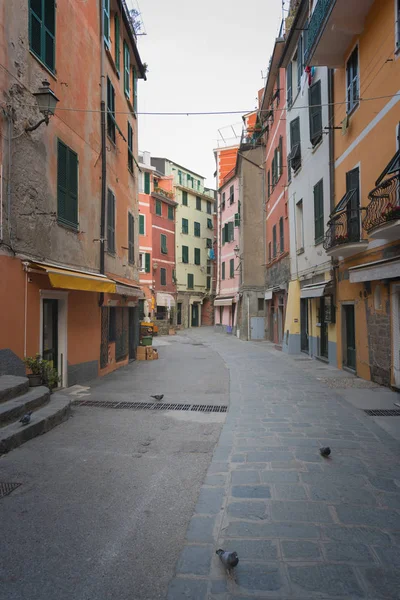 Ιστορικά Κτίρια Της Vernazza Λιγουρία Ιταλία Τυπικό Δρόμο — Φωτογραφία Αρχείου