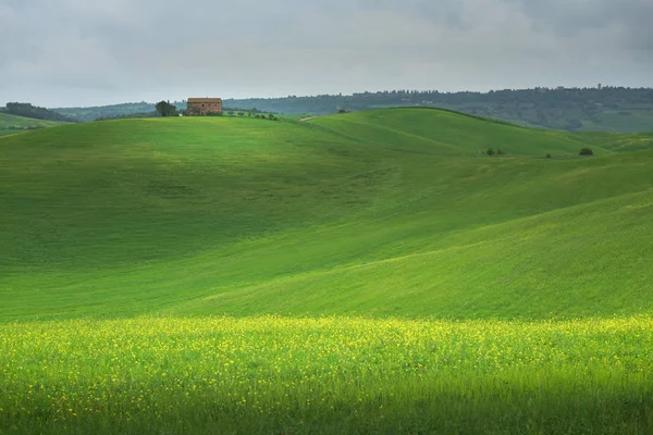 Toskania Panorama Pejzaż Wzgórza Łąka Toskania Włochy — Zdjęcie stockowe