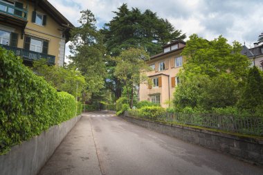 Asfalt yol, banliyö yerleşim bölgesinde sokak ile Avrupa'nın yeşil ağaçlar çok yan görünüm mükemmel yeşil ve temiz ülkedir. Çevre ve ulaşım arka plan