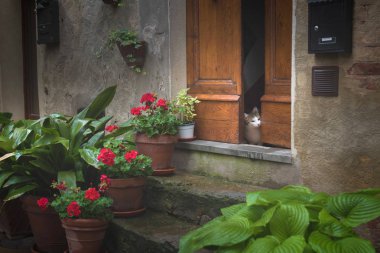 Küçük bir köyde büyülü Pienza, Toskana bir yağmurlu bahar gününde çiçekli sokak.