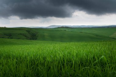 Tuscany yaz kırsal, Montepulciano İtalyan ortaçağ köyü ve inişli çıkışlı tepeler. Siena, İtalya Europe