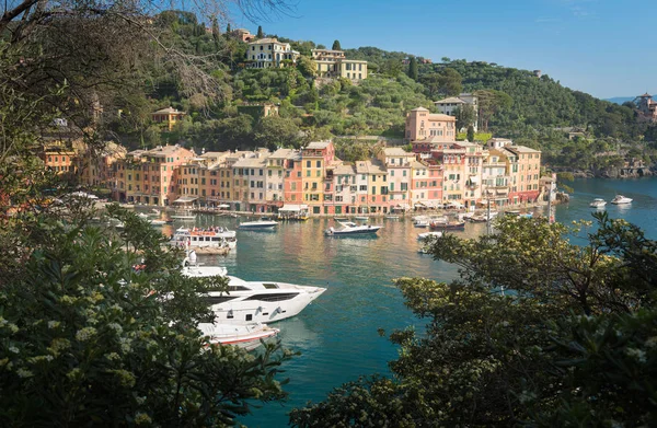 Hermoso Panorama Portofino Con Casas Coloridas Barcos Lujo Yates Pequeño — Foto de Stock