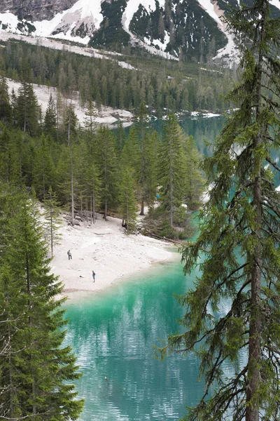 Nádherné Jezero Lago Braies Smaragdové Hladký Povrch Vody Odráží Dřevo — Stock fotografie