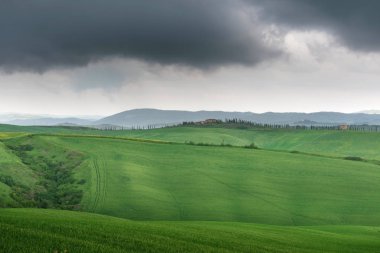 Toskana, kırsal manzara. Kırsal çiftlik, selvi ağaçları, yeşil alan, bulutlu gün. İtalya, Europe